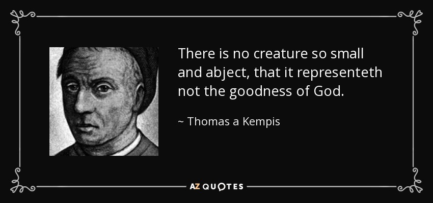 There is no creature so small and abject, that it representeth not the goodness of God. - Thomas a Kempis