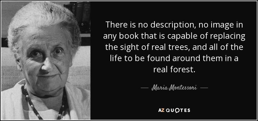 There is no description, no image in any book that is capable of replacing the sight of real trees, and all of the life to be found around them in a real forest. - Maria Montessori