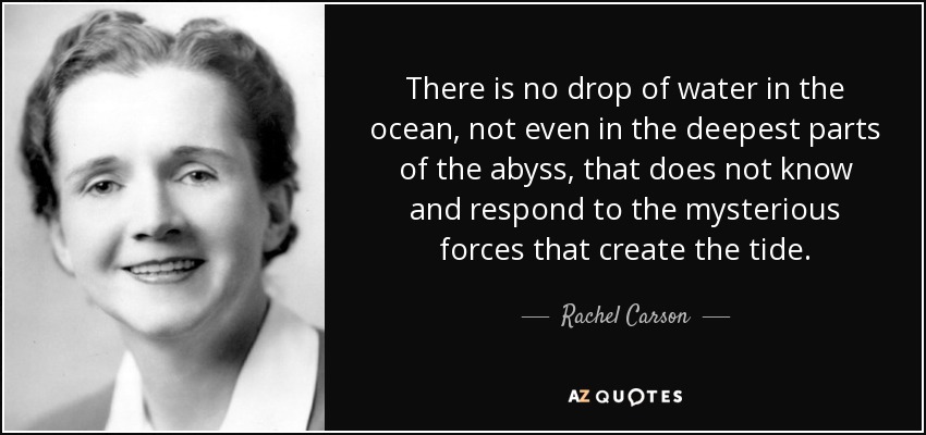 There is no drop of water in the ocean, not even in the deepest parts of the abyss, that does not know and respond to the mysterious forces that create the tide. - Rachel Carson