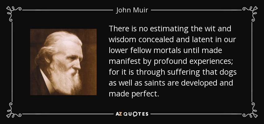 There is no estimating the wit and wisdom concealed and latent in our lower fellow mortals until made manifest by profound experiences; for it is through suffering that dogs as well as saints are developed and made perfect. - John Muir