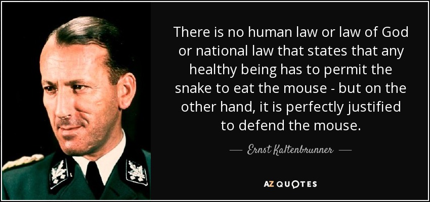 There is no human law or law of God or national law that states that any healthy being has to permit the snake to eat the mouse - but on the other hand, it is perfectly justified to defend the mouse. - Ernst Kaltenbrunner