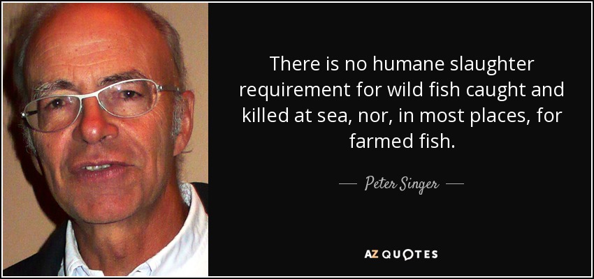 There is no humane slaughter requirement for wild fish caught and killed at sea, nor, in most places, for farmed fish. - Peter Singer