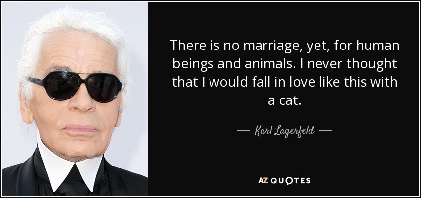 There is no marriage, yet, for human beings and animals. I never thought that I would fall in love like this with a cat. - Karl Lagerfeld