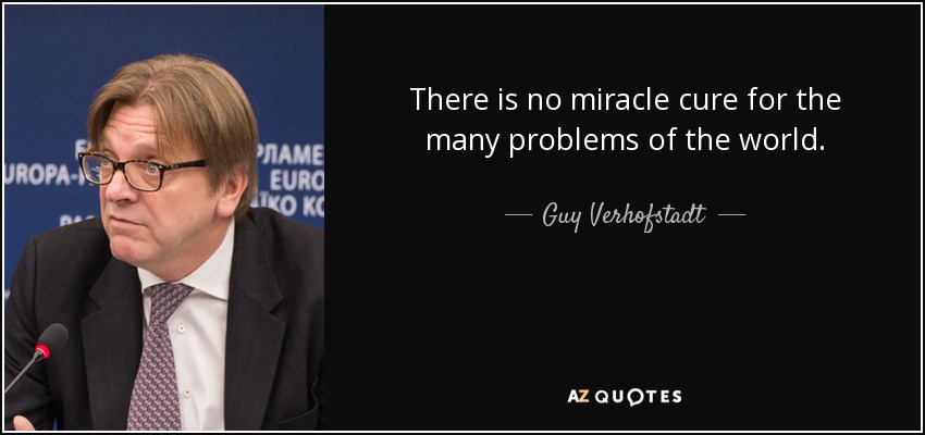There is no miracle cure for the many problems of the world. - Guy Verhofstadt