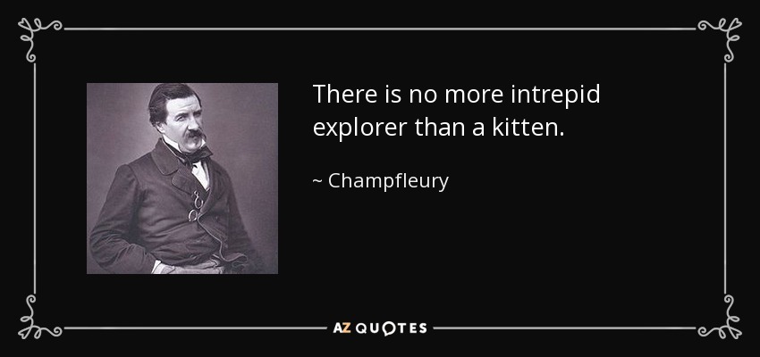 There is no more intrepid explorer than a kitten. - Champfleury