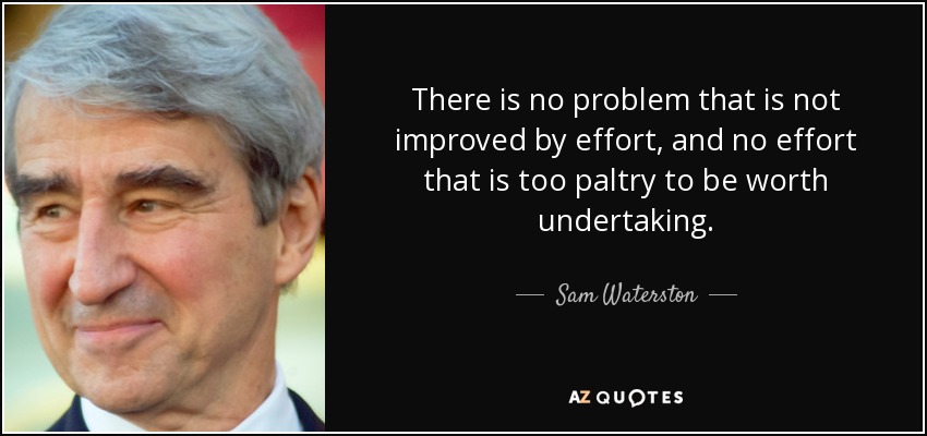 There is no problem that is not improved by effort, and no effort that is too paltry to be worth undertaking. - Sam Waterston