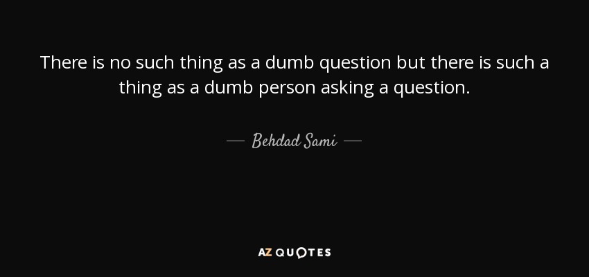 There is no such thing as a dumb question but there is such a thing as a dumb person asking a question. - Behdad Sami