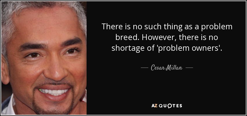 There is no such thing as a problem breed. However, there is no shortage of 'problem owners'. - Cesar Millan