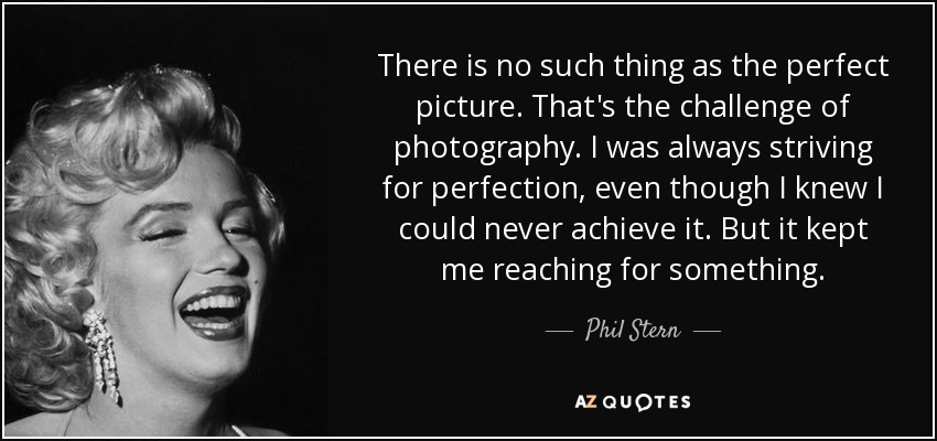 There is no such thing as the perfect picture. That's the challenge of photography. I was always striving for perfection, even though I knew I could never achieve it. But it kept me reaching for something. - Phil Stern