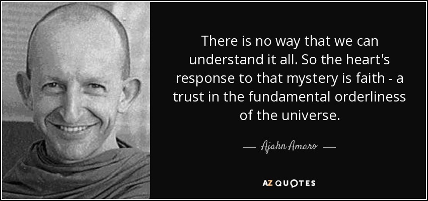 There is no way that we can understand it all. So the heart's response to that mystery is faith - a trust in the fundamental orderliness of the universe. - Ajahn Amaro