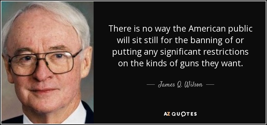 There is no way the American public will sit still for the banning of or putting any significant restrictions on the kinds of guns they want. - James Q. Wilson