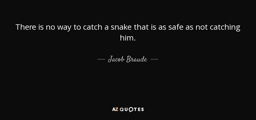 There is no way to catch a snake that is as safe as not catching him. - Jacob Braude