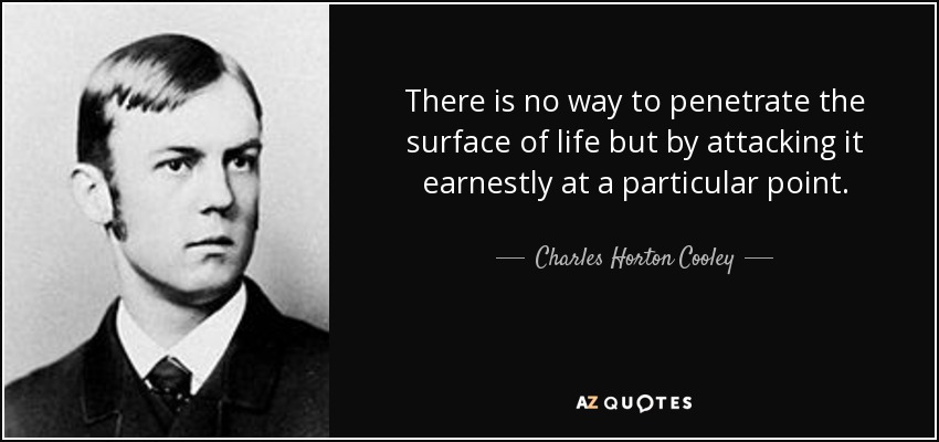 There is no way to penetrate the surface of life but by attacking it earnestly at a particular point. - Charles Horton Cooley