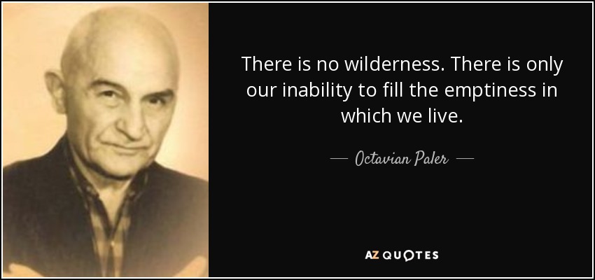 There is no wilderness. There is only our inability to fill the emptiness in which we live. - Octavian Paler