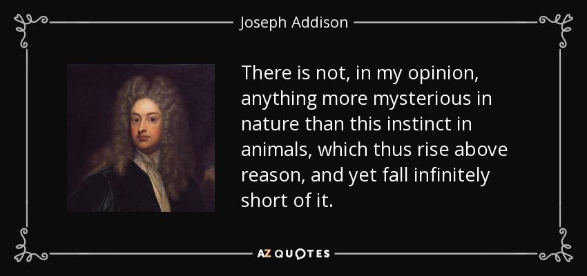 There is not, in my opinion, anything more mysterious in nature than this instinct in animals, which thus rise above reason, and yet fall infinitely short of it. - Joseph Addison