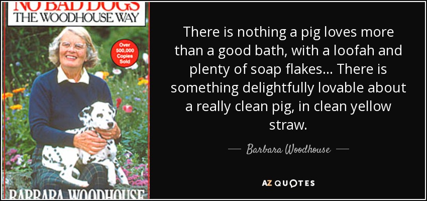 There is nothing a pig loves more than a good bath, with a loofah and plenty of soap flakes ... There is something delightfully lovable about a really clean pig, in clean yellow straw. - Barbara Woodhouse