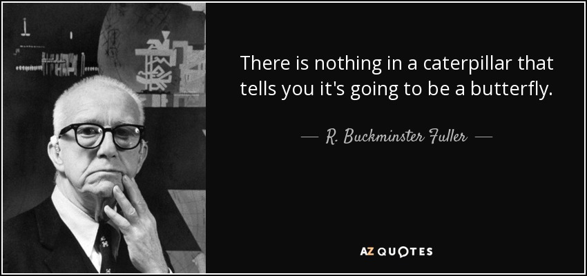 There is nothing in a caterpillar that tells you it's going to be a butterfly. - R. Buckminster Fuller