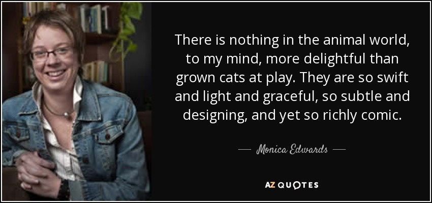 There is nothing in the animal world, to my mind, more delightful than grown cats at play. They are so swift and light and graceful, so subtle and designing, and yet so richly comic. - Monica Edwards