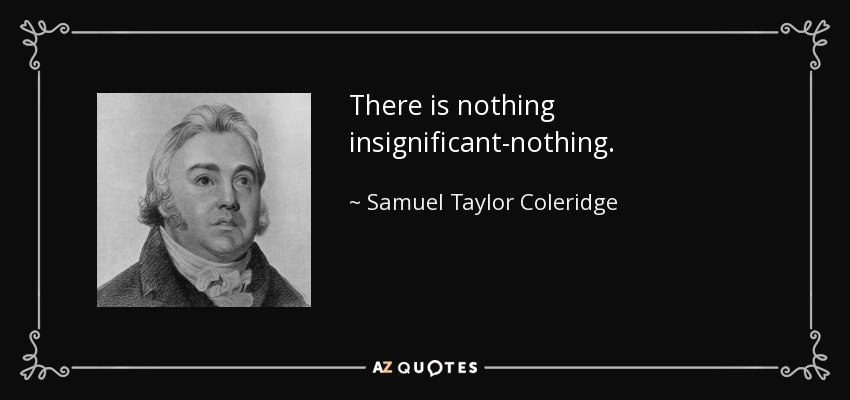 There is nothing insignificant-nothing. - Samuel Taylor Coleridge