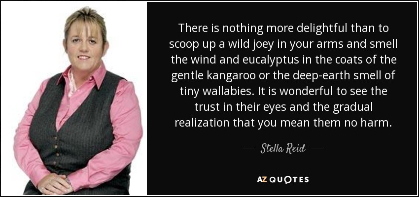 There is nothing more delightful than to scoop up a wild joey in your arms and smell the wind and eucalyptus in the coats of the gentle kangaroo or the deep-earth smell of tiny wallabies. It is wonderful to see the trust in their eyes and the gradual realization that you mean them no harm. - Stella Reid