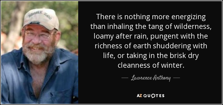 There is nothing more energizing than inhaling the tang of wilderness, loamy after rain, pungent with the richness of earth shuddering with life, or taking in the brisk dry cleanness of winter. - Lawrence Anthony