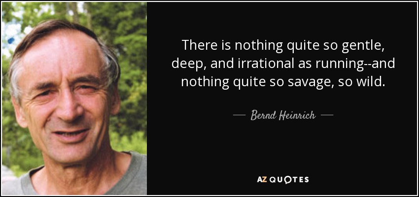 There is nothing quite so gentle, deep, and irrational as running--and nothing quite so savage, so wild. - Bernd Heinrich
