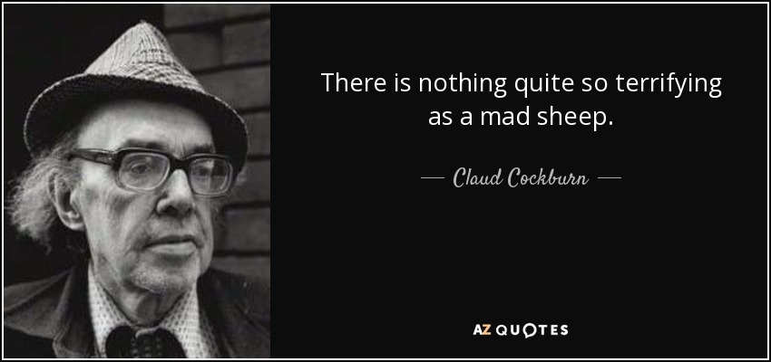 There is nothing quite so terrifying as a mad sheep. - Claud Cockburn