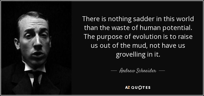 There is nothing sadder in this world than the waste of human potential. The purpose of evolution is to raise us out of the mud, not have us grovelling in it. - Andrew Schneider