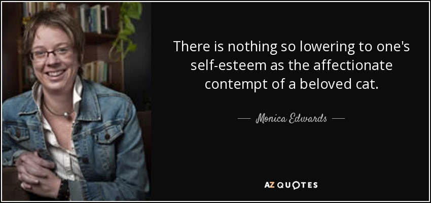 There is nothing so lowering to one's self-esteem as the affectionate contempt of a beloved cat. - Monica Edwards