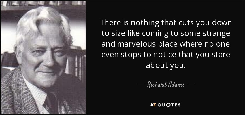 There is nothing that cuts you down to size like coming to some strange and marvelous place where no one even stops to notice that you stare about you. - Richard Adams
