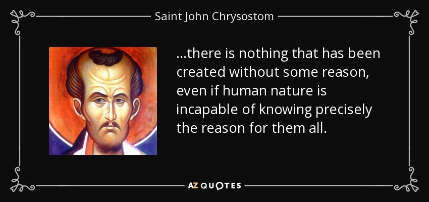 ...there is nothing that has been created without some reason, even if human nature is incapable of knowing precisely the reason for them all. - Saint John Chrysostom