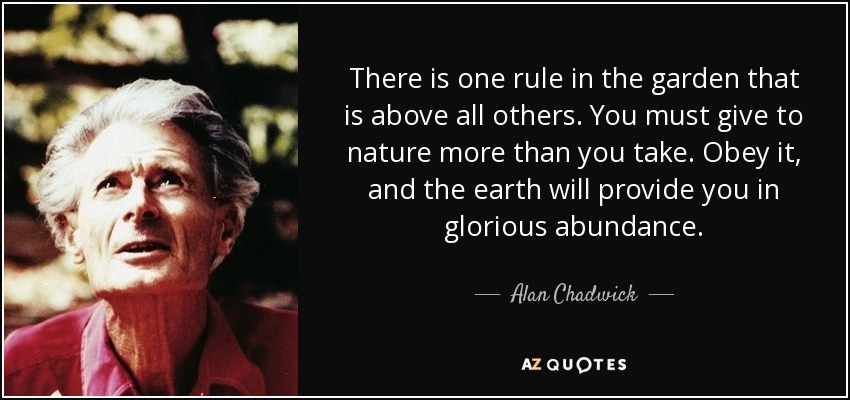 There is one rule in the garden that is above all others. You must give to nature more than you take. Obey it, and the earth will provide you in glorious abundance. - Alan Chadwick