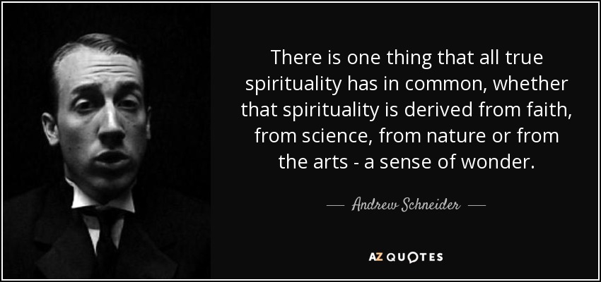 There is one thing that all true spirituality has in common, whether that spirituality is derived from faith, from science, from nature or from the arts - a sense of wonder. - Andrew Schneider