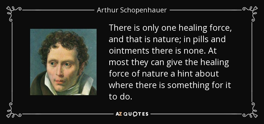 There is only one healing force, and that is nature; in pills and ointments there is none. At most they can give the healing force of nature a hint about where there is something for it to do. - Arthur Schopenhauer