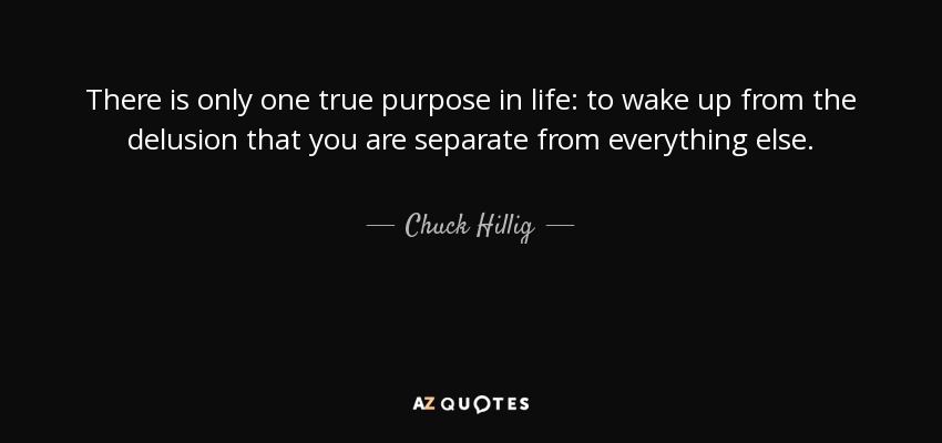 There is only one true purpose in life: to wake up from the delusion that you are separate from everything else. - Chuck Hillig