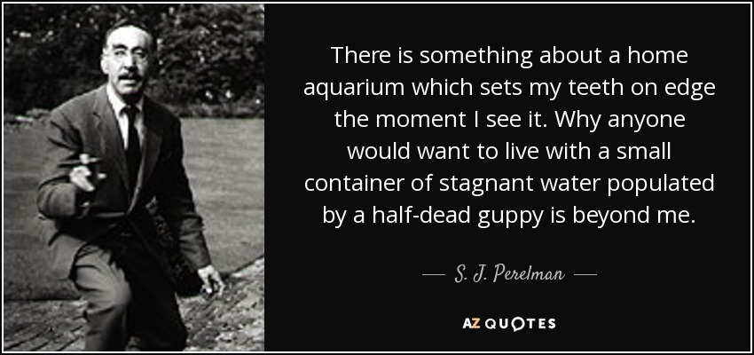 There is something about a home aquarium which sets my teeth on edge the moment I see it. Why anyone would want to live with a small container of stagnant water populated by a half-dead guppy is beyond me. - S. J. Perelman