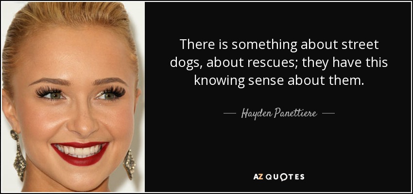 There is something about street dogs, about rescues; they have this knowing sense about them. - Hayden Panettiere