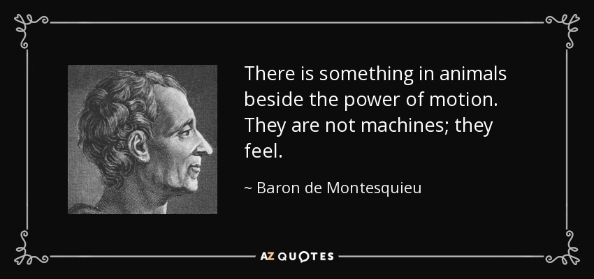 There is something in animals beside the power of motion. They are not machines; they feel. - Baron de Montesquieu