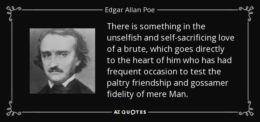 There is something in the unselfish and self-sacrificing love of a brute, which goes directly to the heart of him who has had frequent occasion to test the paltry friendship and gossamer fidelity of mere Man. - Edgar Allan Poe