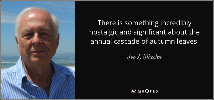 There is something incredibly nostalgic and significant about the annual cascade of autumn leaves. - Joe L. Wheeler