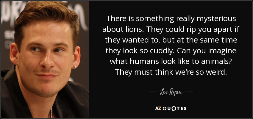 There is something really mysterious about lions. They could rip you apart if they wanted to, but at the same time they look so cuddly. Can you imagine what humans look like to animals? They must think we're so weird. - Lee Ryan