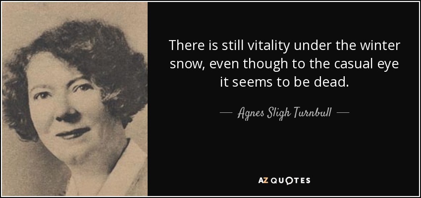 There is still vitality under the winter snow, even though to the casual eye it seems to be dead. - Agnes Sligh Turnbull