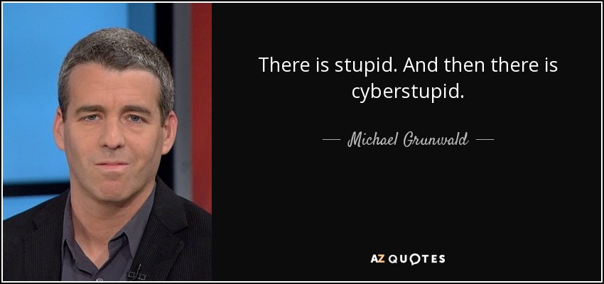 There is stupid. And then there is cyberstupid. - Michael Grunwald