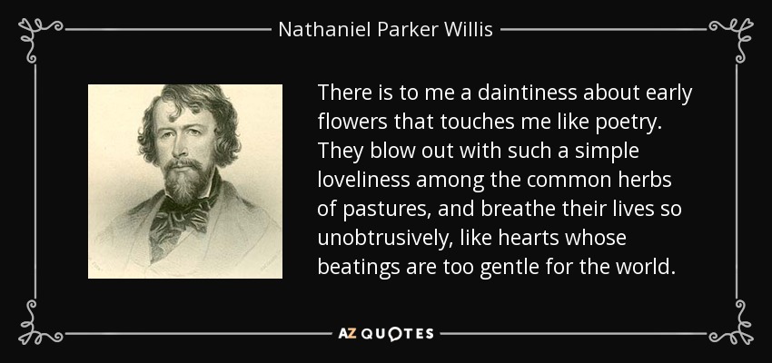 There is to me a daintiness about early flowers that touches me like poetry. They blow out with such a simple loveliness among the common herbs of pastures, and breathe their lives so unobtrusively, like hearts whose beatings are too gentle for the world. - Nathaniel Parker Willis
