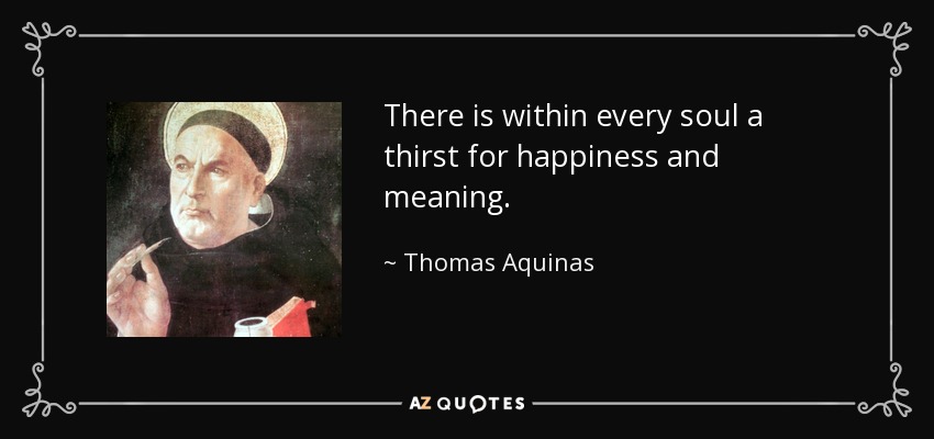 There is within every soul a thirst for happiness and meaning. - Thomas Aquinas