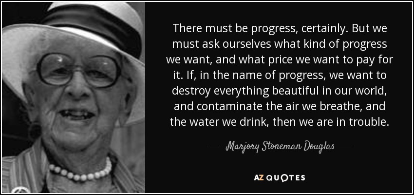 There must be progress, certainly. But we must ask ourselves what kind of progress we want, and what price we want to pay for it. If, in the name of progress, we want to destroy everything beautiful in our world, and contaminate the air we breathe, and the water we drink, then we are in trouble. - Marjory Stoneman Douglas