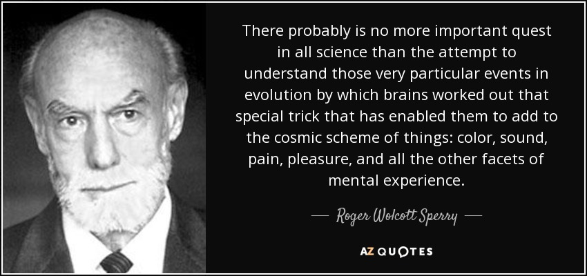 There probably is no more important quest in all science than the attempt to understand those very particular events in evolution by which brains worked out that special trick that has enabled them to add to the cosmic scheme of things: color, sound, pain, pleasure, and all the other facets of mental experience. - Roger Wolcott Sperry