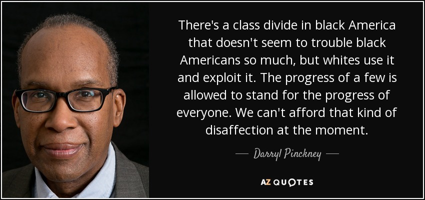There's a class divide in black America that doesn't seem to trouble black Americans so much, but whites use it and exploit it. The progress of a few is allowed to stand for the progress of everyone. We can't afford that kind of disaffection at the moment. - Darryl Pinckney