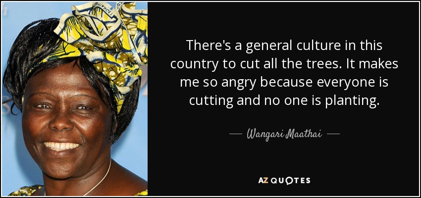 There's a general culture in this country to cut all the trees. It makes me so angry because everyone is cutting and no one is planting. - Wangari Maathai
