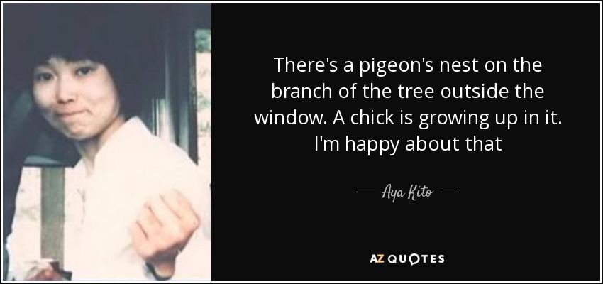 There's a pigeon's nest on the branch of the tree outside the window. A chick is growing up in it. I'm happy about that - Aya Kito